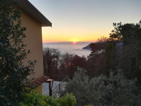 I TRE GRAPPOLI Corniglia